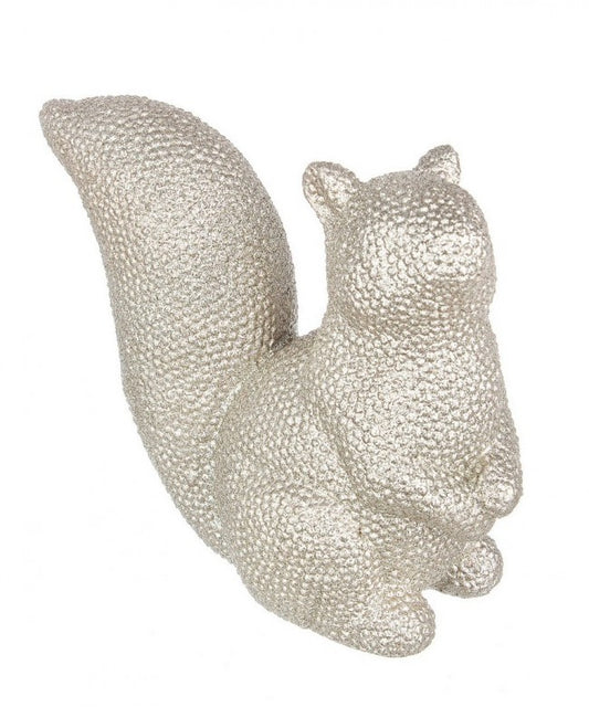 6x Ardilla Carol Champán