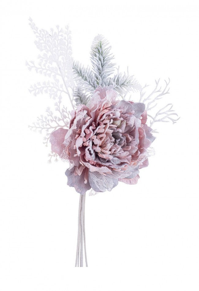 10x Pick Peony Ginny Polvo Nevado
