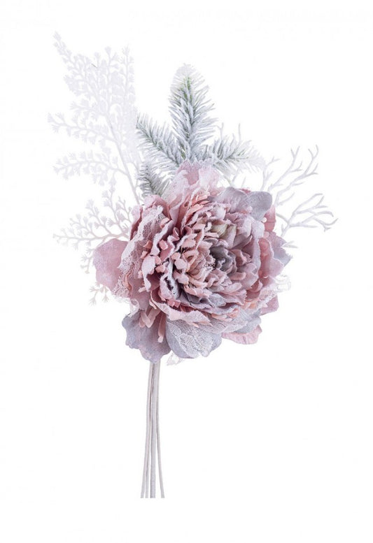 10x Pick Peony Ginny Polvo Nevado
