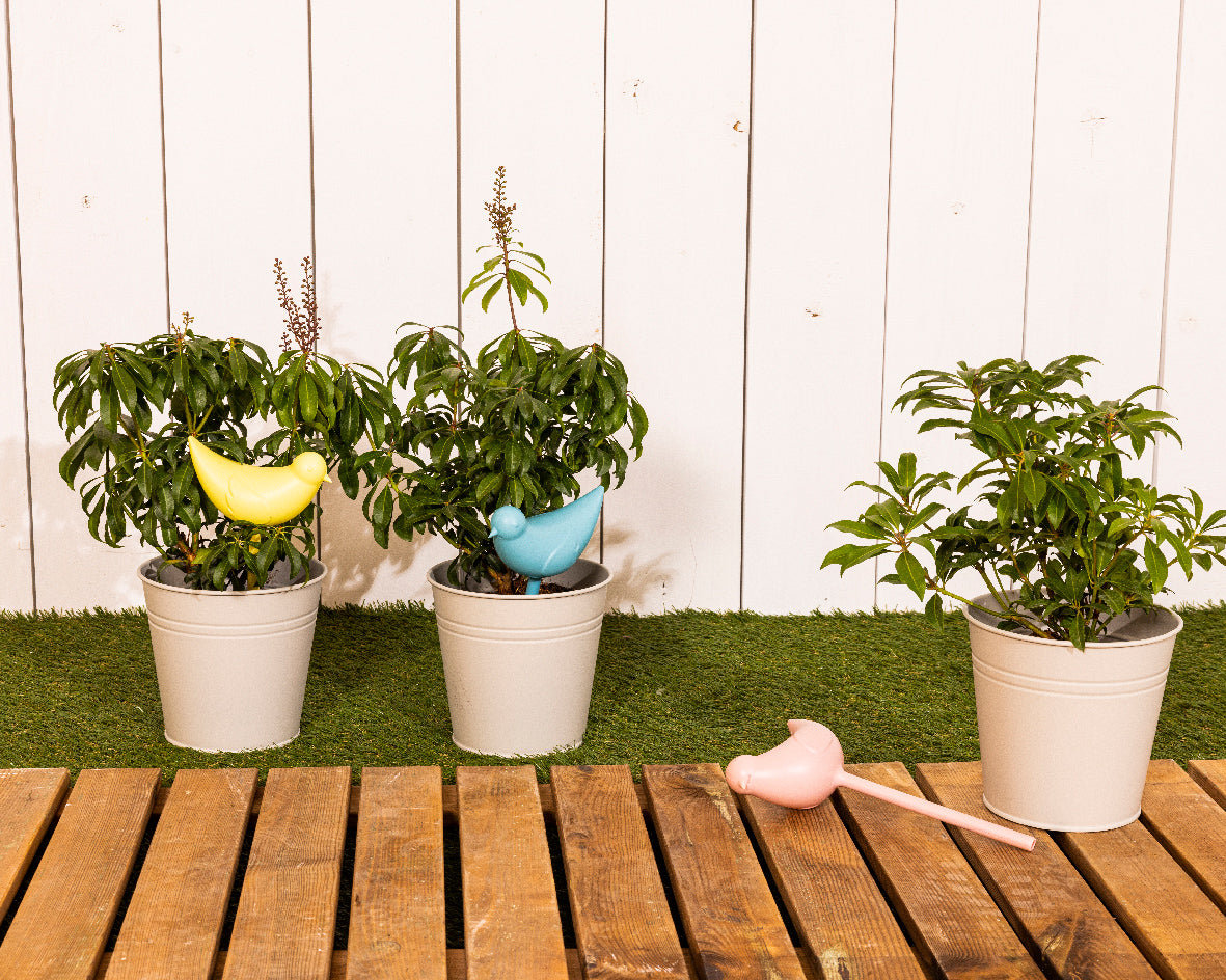 Dispensador de agua para plantas en forma de pájaro