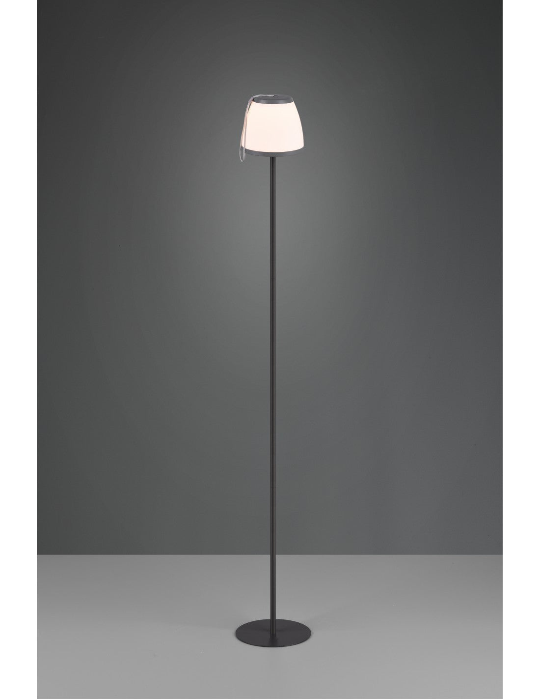 Lámpara de Pie Moderna Led Touch Antracita Domingo IP44 Trio Lighting