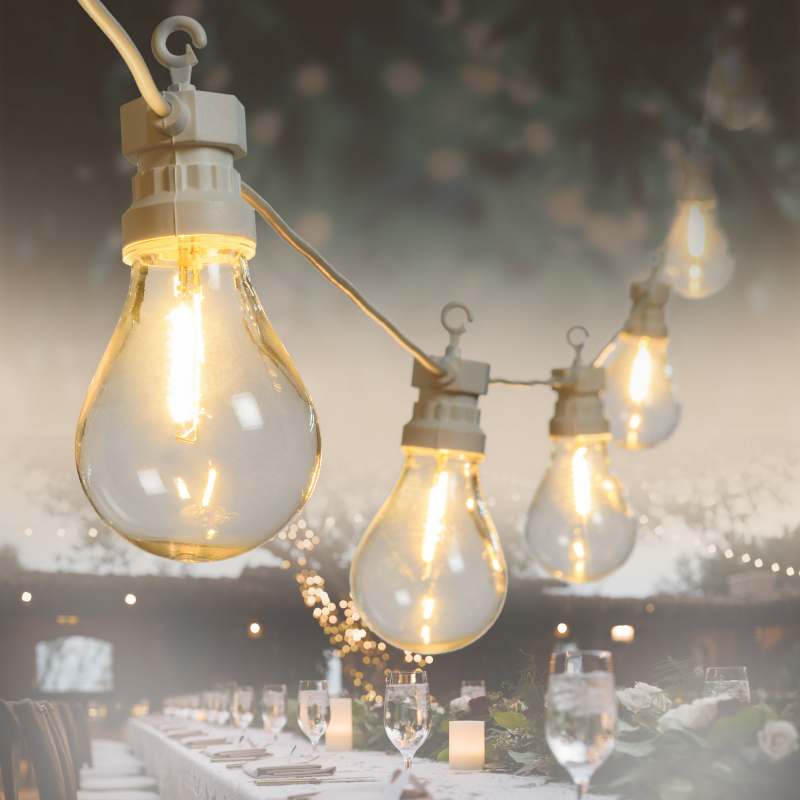 Cadena de 10 Lámparas LED de Filamento 5,5m