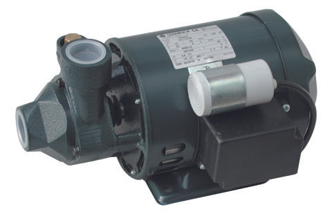 Electrobomba periférica Lowara Serie P - 0,60 Kw 0,80 Hp