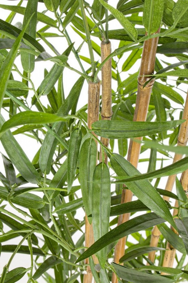 2x Maceta C para plantas de bambú Al. 155 cm