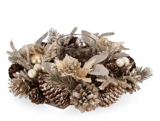 2x P.Candela 1P Alara a Poinsettia Champ