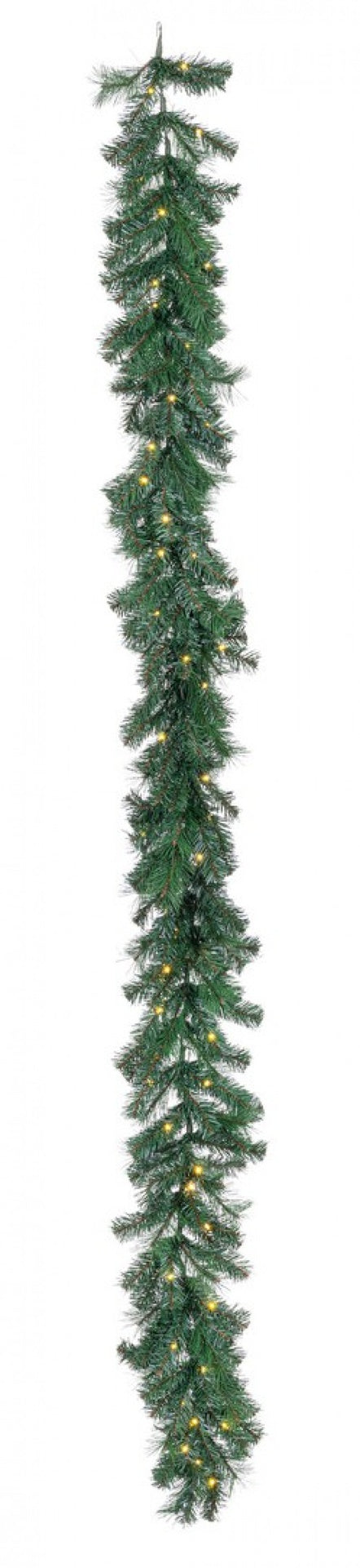 4x Boa Thurn H270 C-50L Clásico