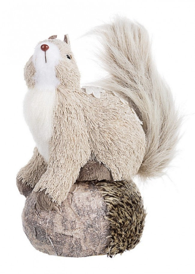 4x Ardilla Invernal C