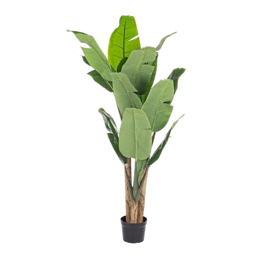 2x Planta de plátano decoración del hogar con maceta 16 hojas 170h cm