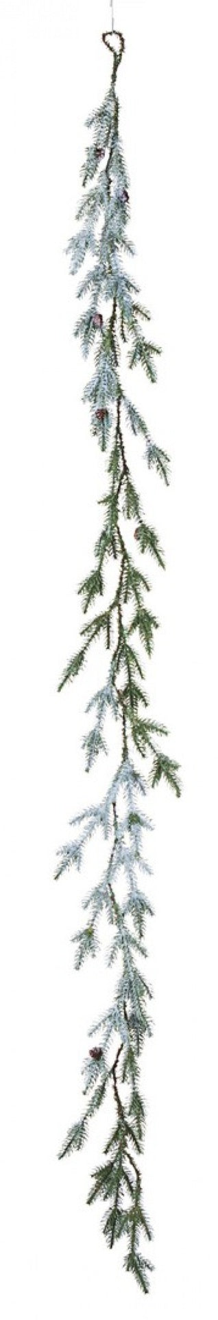 6x boya de nieve Elbert H180