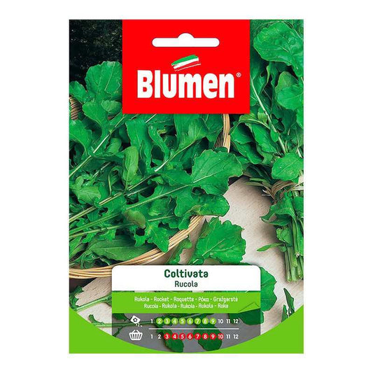 Semillas de rúcula cultivadas en bolsa