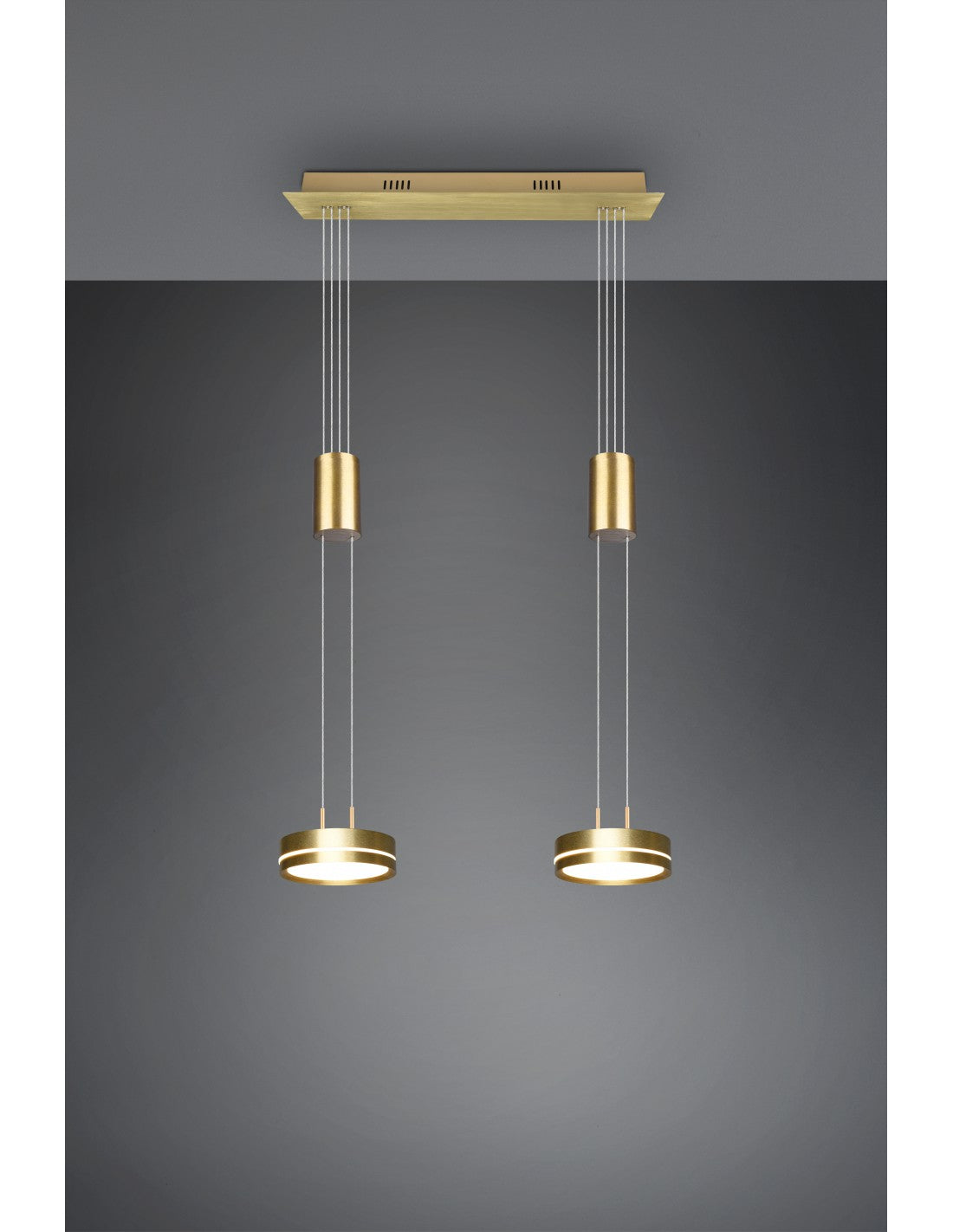 Difusores de suspensión Disco Led Dimmer Franklin Brass Trio Lighting