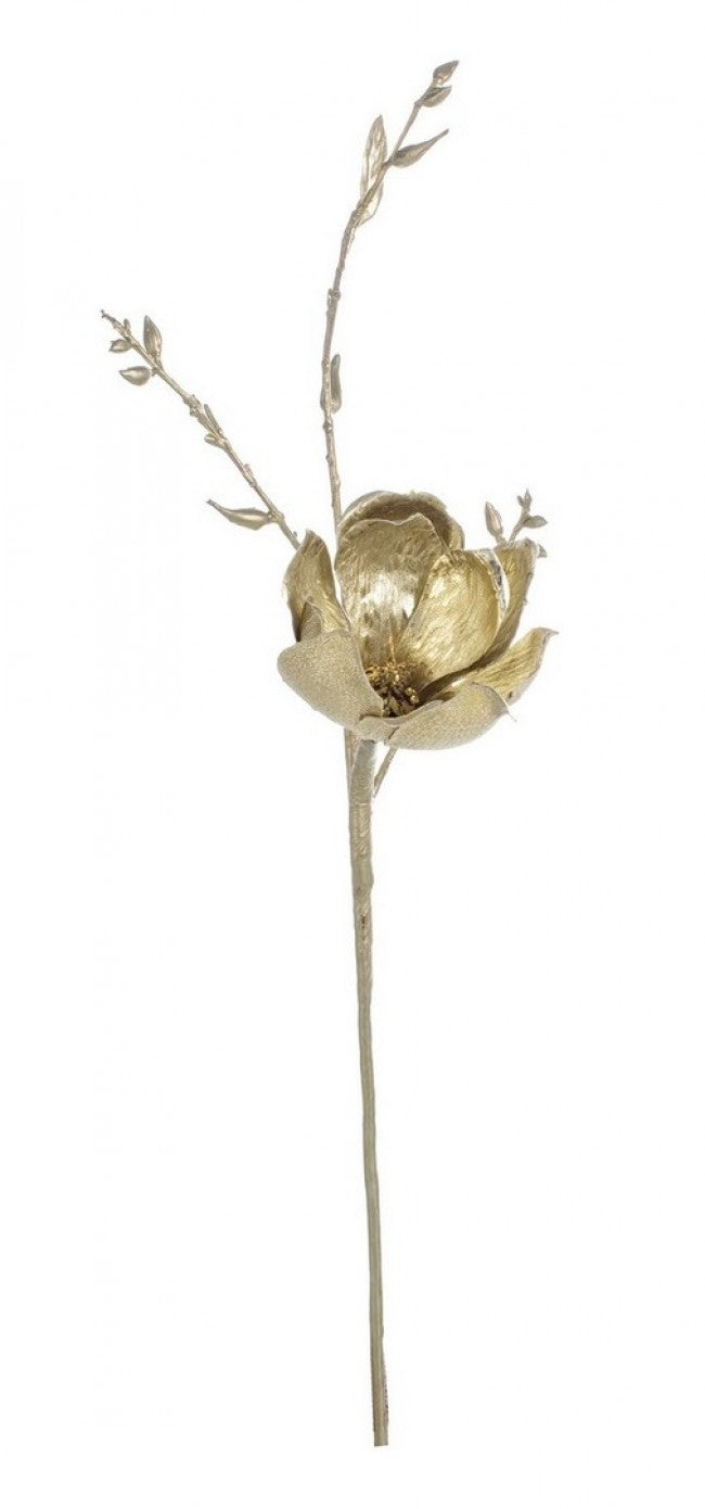 12x Pick Nature Hojas de Magnolia Champán