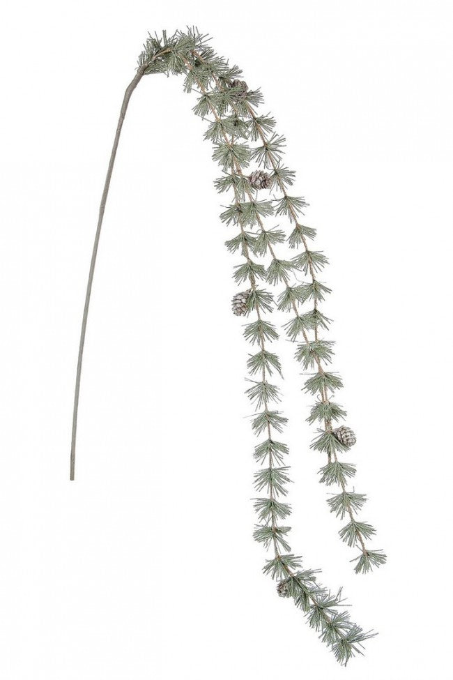 8x Rama curvada del Everest C