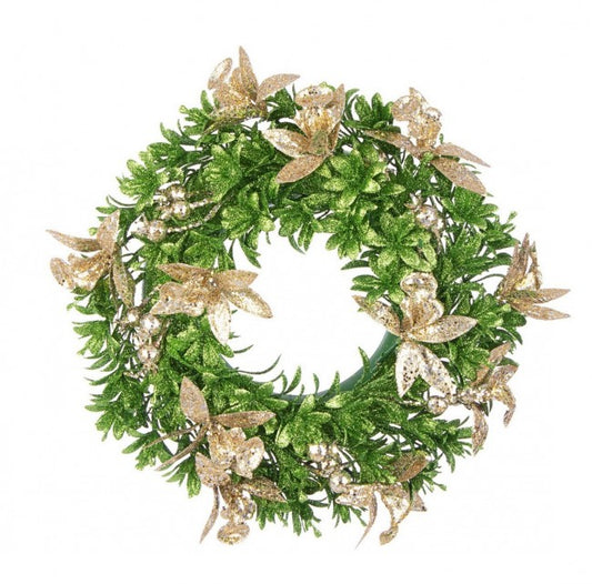 8x Corona Betania Champán D30