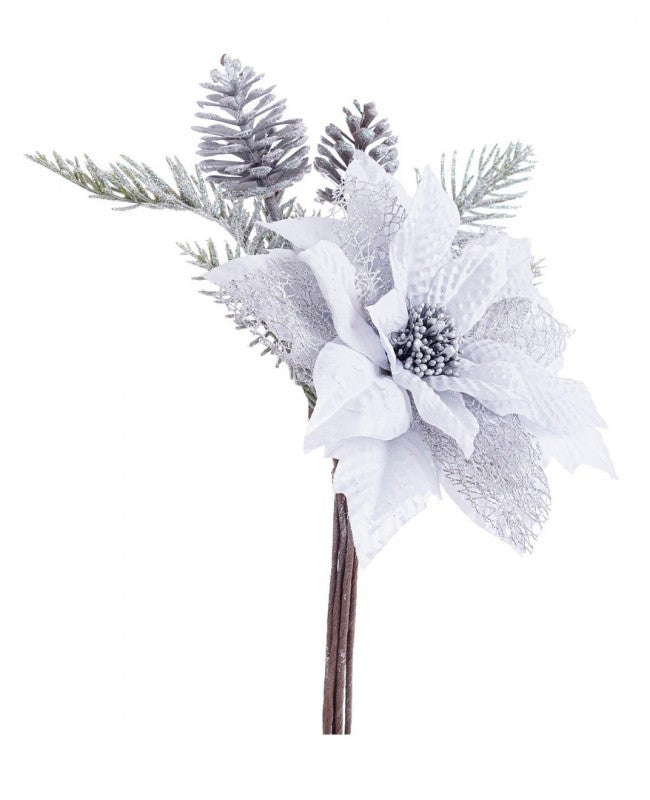 12x Púas Poinsettia Clare Plata C