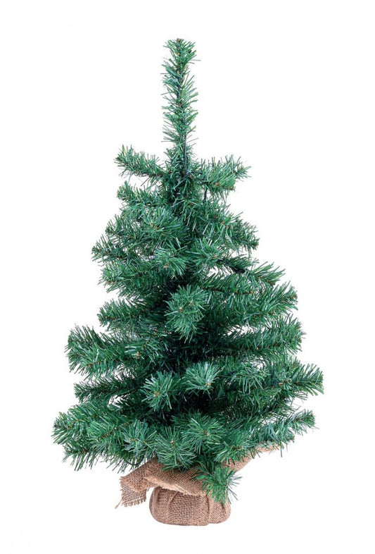 6x Árbol Innsbruck H60