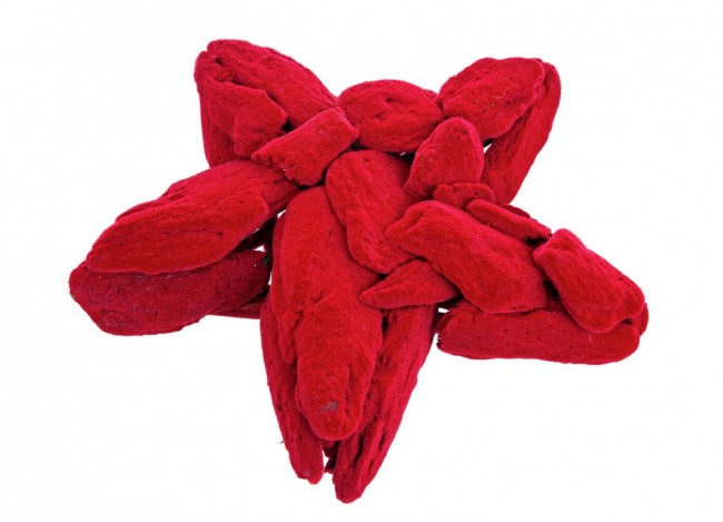 6x Estrella de Terciopelo Rojo