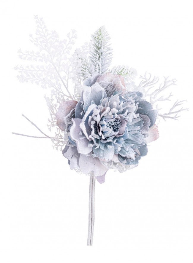 10x Pick Peony Ginny Niebla Nevada