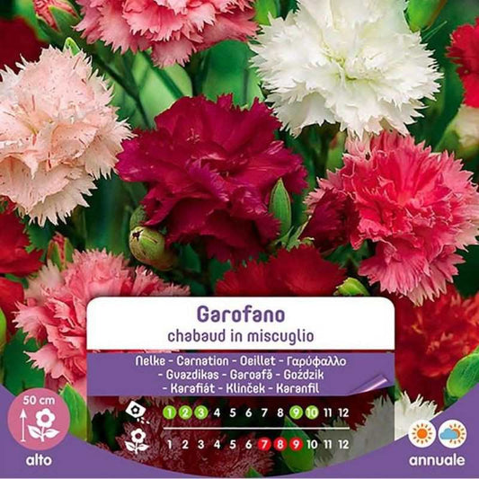 Semillas De Clavel Chabaud En Mezcla