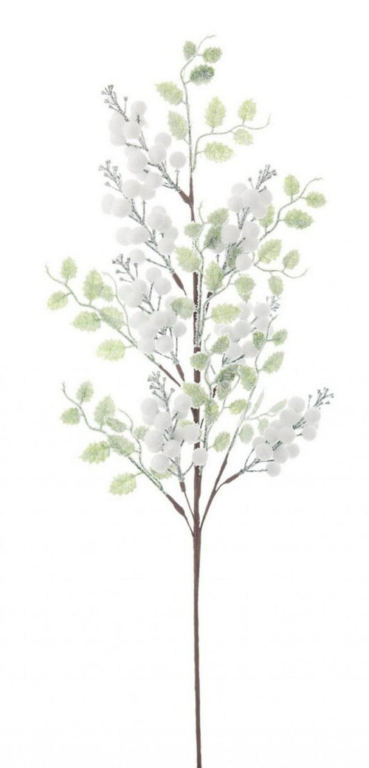 12x Rama Jillie Berries Blanco C