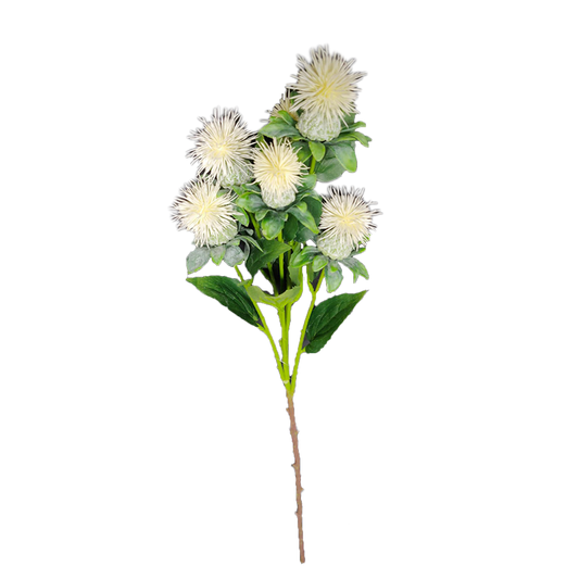 Cártamo 79cm blanco