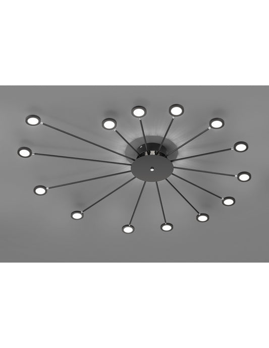 Lámpara de techo Peacock, luz indirecta y 14 puntos LED ajustables, trío de iluminación en negro pavo real