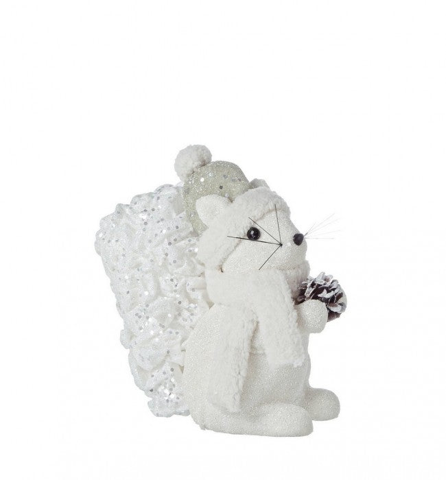 4x Glaciar S. Ardilla