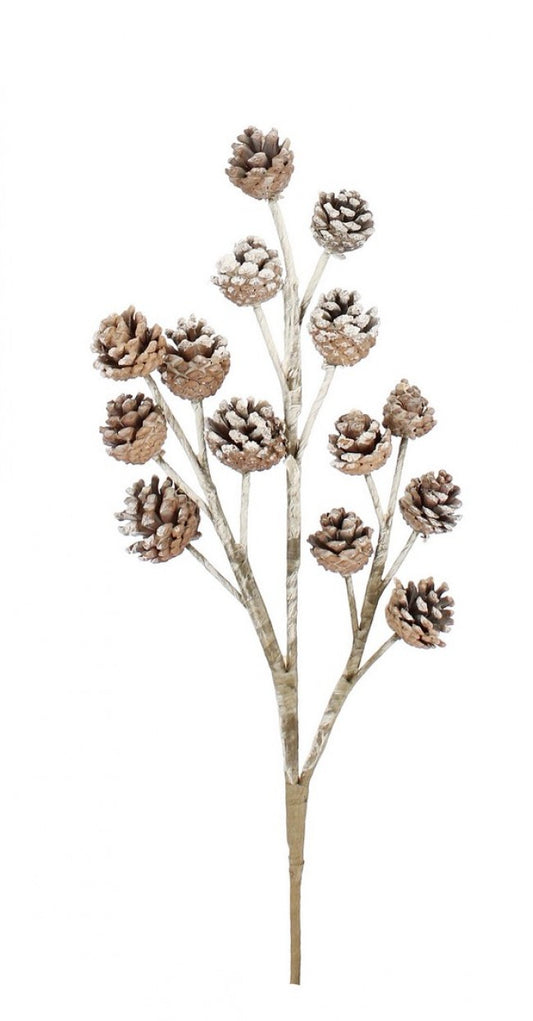 12x Piñas de pino Hartley Branch X14F Snowy H51