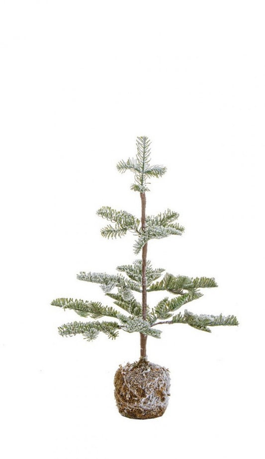 6x Pino Peralba nevado Alt.53