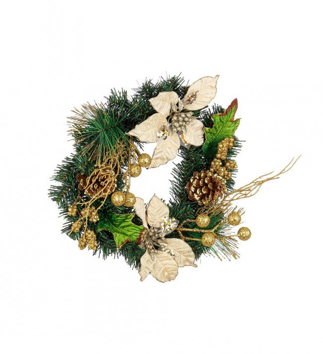 6x Corona Kyle Poinsettia Champán D35