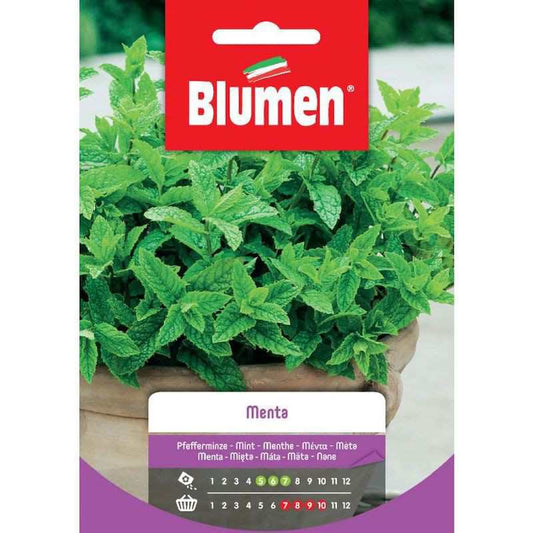 Semillas de menta en bolsa