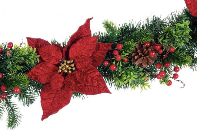 6x Boa Poinsettia clásica roja Alt. 180