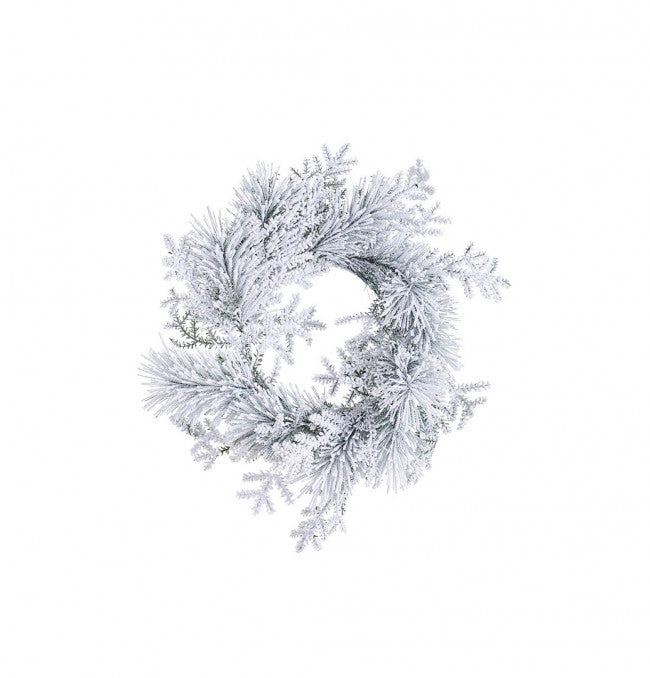 6x Corona nevada de Salzburgo D40