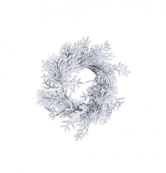 6x Corona nevada de Salzburgo D40