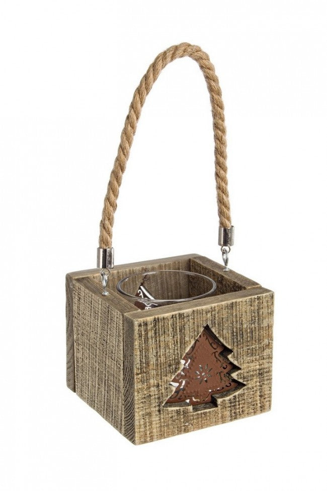 5x P.Candela Pino de Montaña