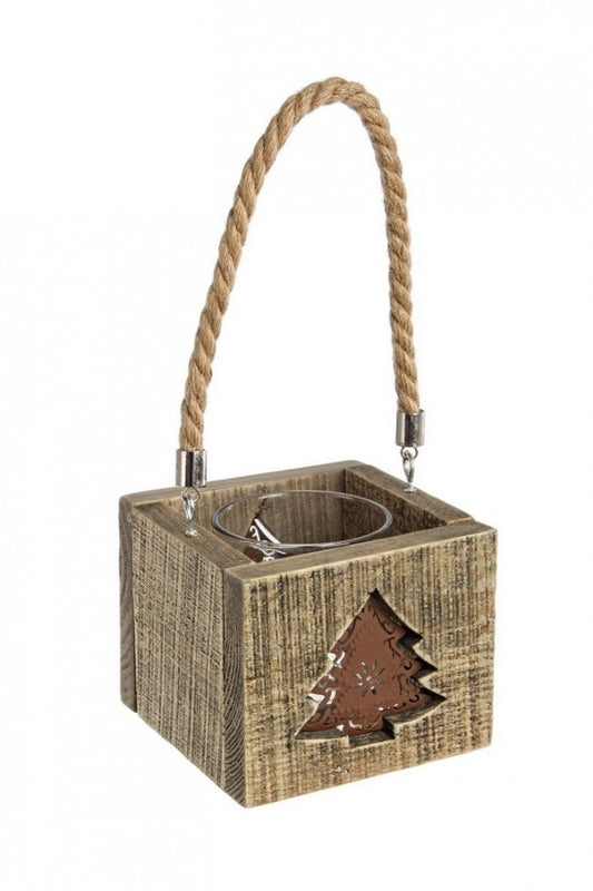 5x P.Candela Pino de Montaña