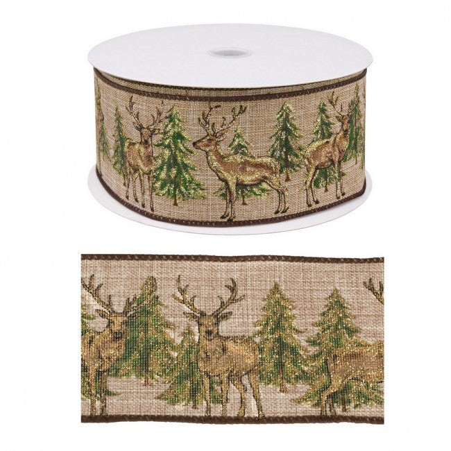 6x Cinta Alpina Reno 20M