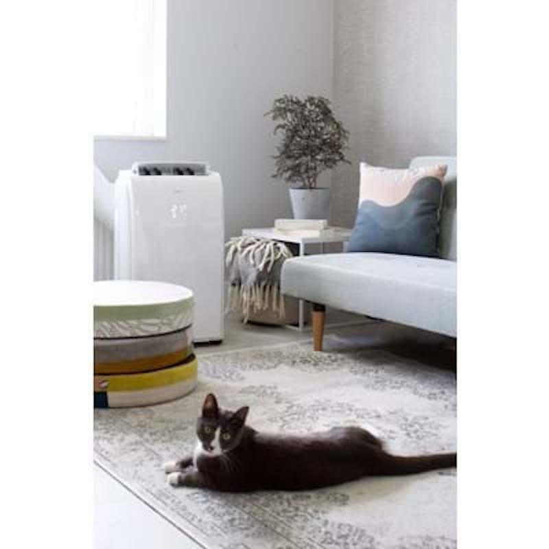 P522 aire acondicionado-deshumidificador portátil 