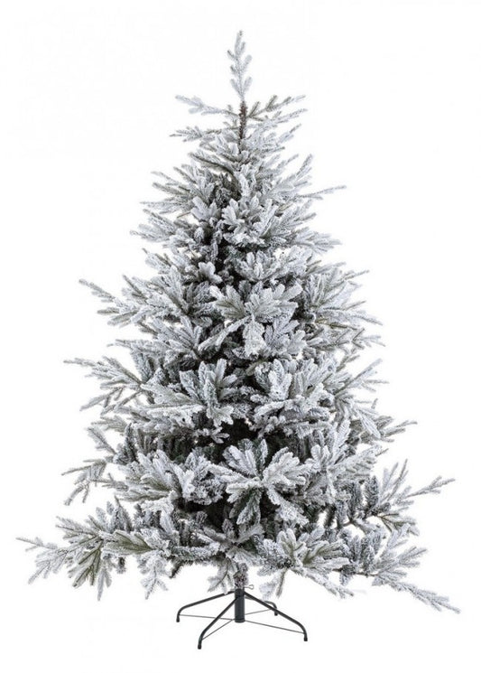 Árbol Bernina cubierto de nieve H240-4117Ramas
