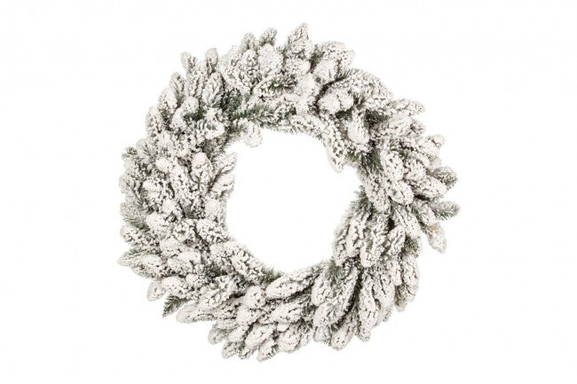 4x Corona Oregon D75