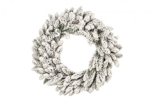 4x Corona Oregon D75