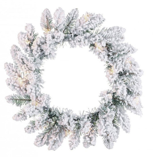 6x Corona Lienz Nevado D60 C