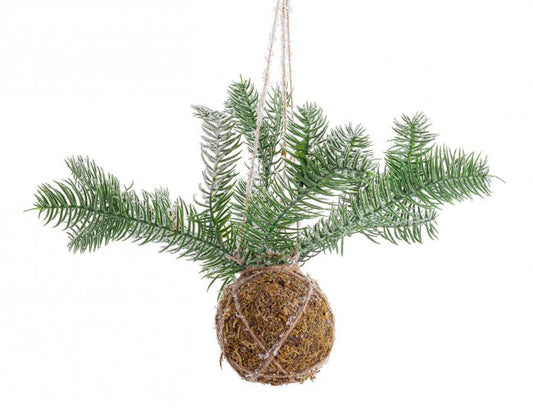 6x Decoración Esfera Kokedama C