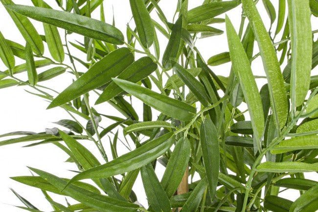 2x Maceta C para plantas de bambú Al. 130 cm
