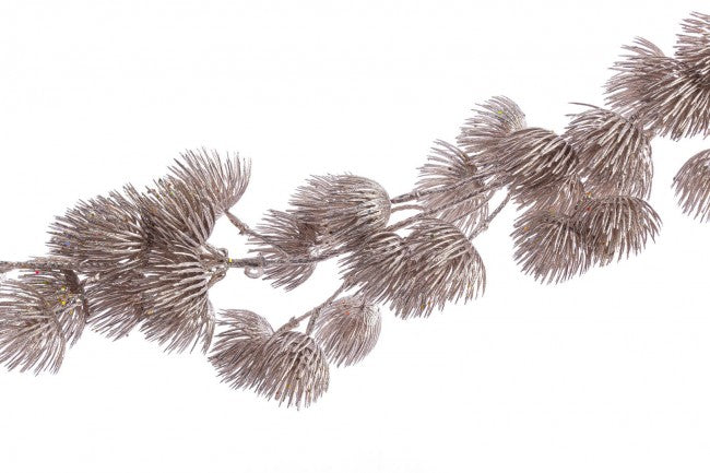 3x Boa Angélique Champán H200