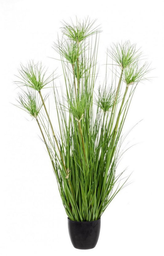 4x Maceta C para plantas del desierto verde X9F H120