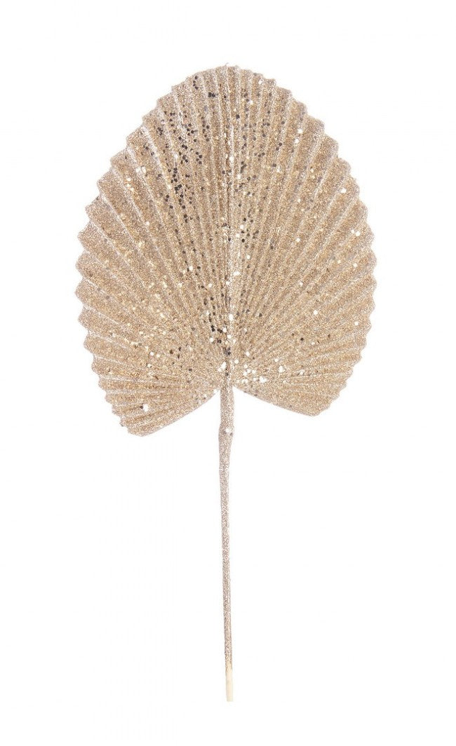12x Hoja de abanico de champán Al. 52 cm
