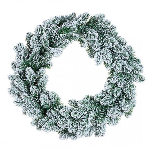 6x Corona nevada de Innsbruck D60