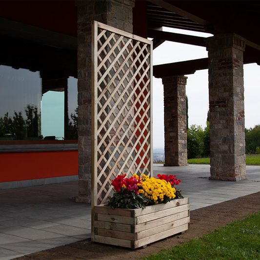 Composición de orquídeas con rejilla y jardinera.