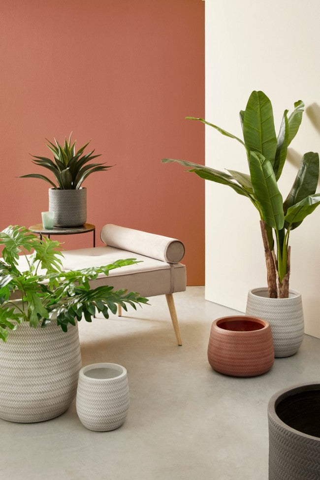 Set3 P. Tressage Al Jarrón De Terracota